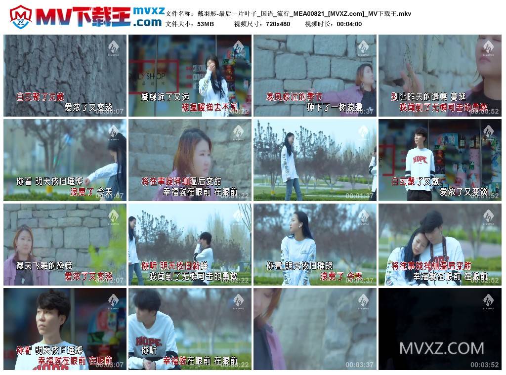 戴羽彤-最后一片叶子_国语_流行_MEA00821